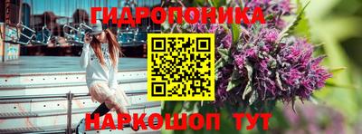 крисы Гатчина