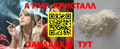 крисы Гатчина