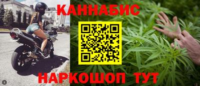 крисы Гатчина