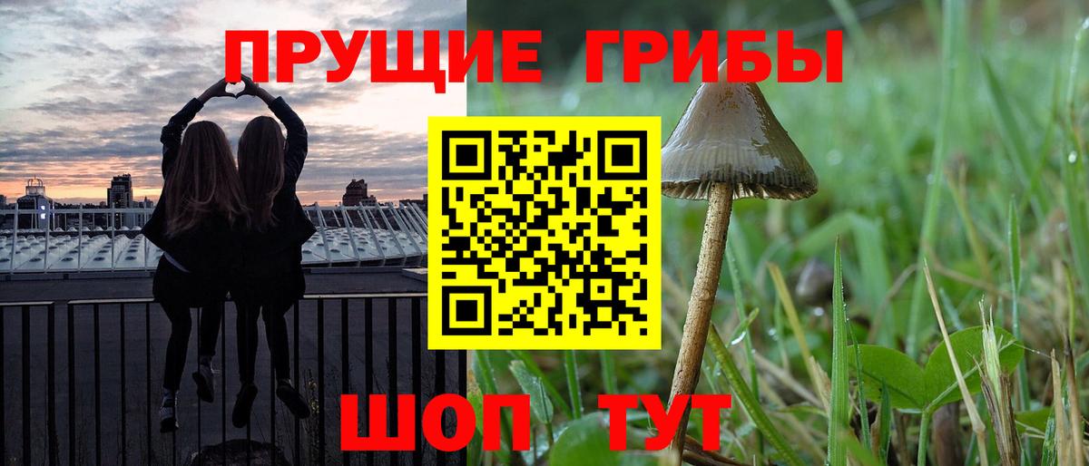 Псилоцибиновые грибы мухоморы  Вход с VPN  Псилоцибиновые грибы GOLDEN TEACHER  Можайск 